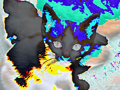 The same image as the immediate previous one.