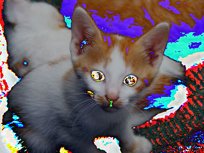 A strange variant of our kitten. The kitten is darker, but its eyes are strange colors and the carpet is now black and red.