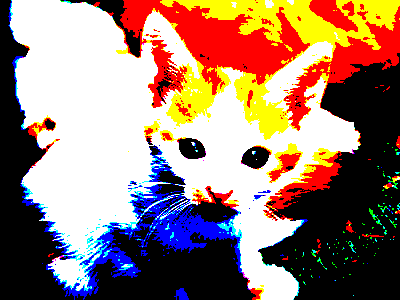 A version of the kitten that appears to be drawn in only a few colors. The carpet is mostly black. The kitten is mostly white. The cat is mostly red and yellow.